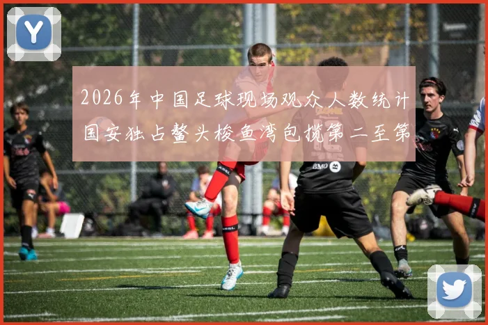 2026年中国足球现场观众人数统计国安独占鳌头梭鱼湾包揽第二至第七位